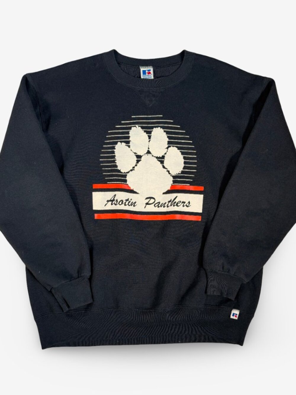 Vintage Made in USA Russell Athletic Asotin Panthers University Sweatshirt